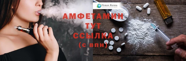 СК Алексин