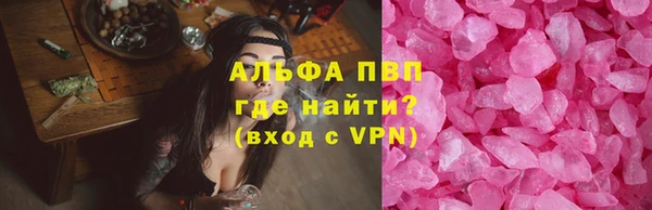 СК Алексин
