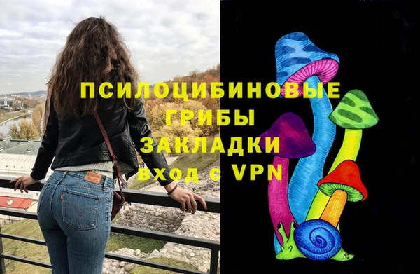 МДПВ Алексеевка