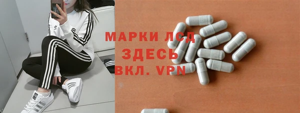 эйфоретик Няндома