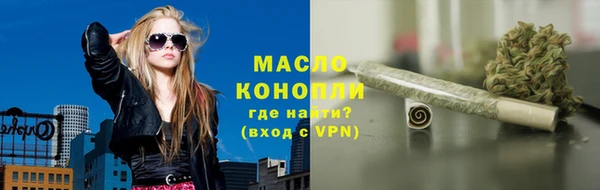 СК Алексин
