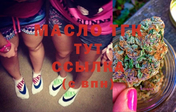 СК Алексин