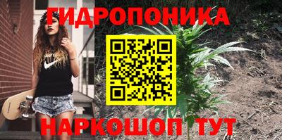 mix Будённовск