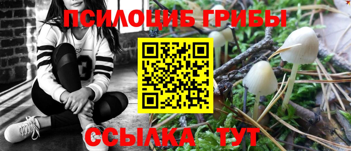 Галлюциногенные грибы мухоморы  Вход с VPN  Балашиха  Галлюциногенные грибы Cubensis 